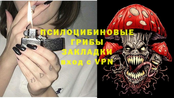 молекула духа Володарск