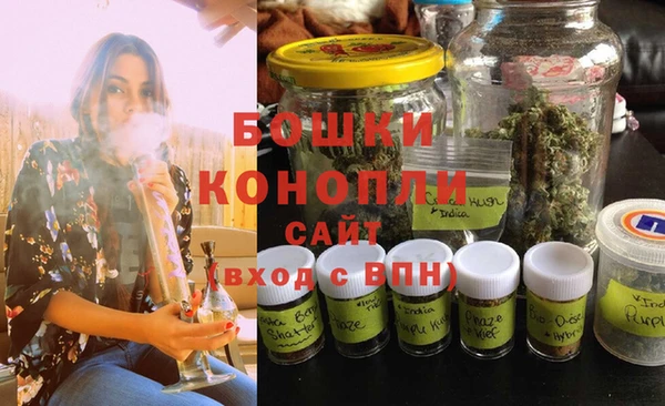 молекула духа Володарск