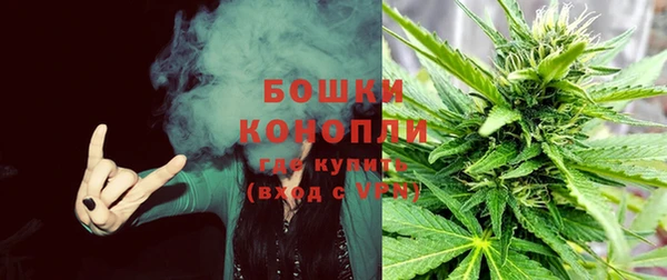 шишки Волоколамск