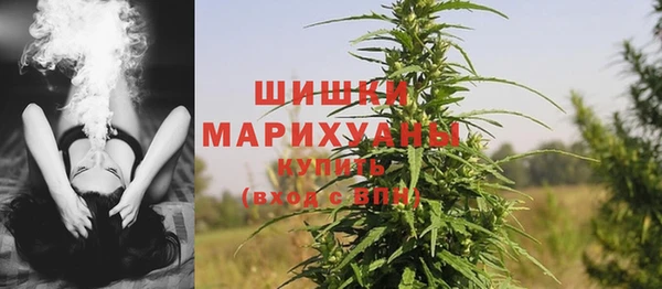 молекула духа Володарск