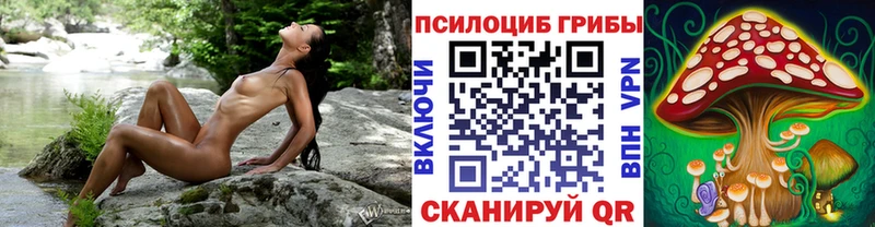 Галлюциногенные грибы Psilocybe  Купить закладки  Тырныауз 